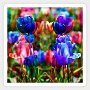 Floral spring with tulips Sticker